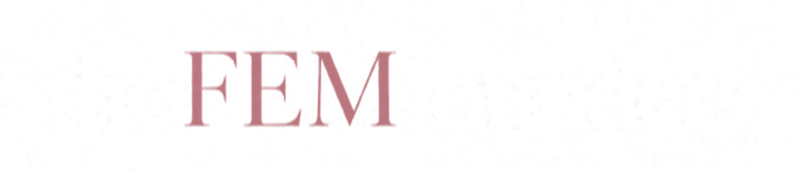 theFEMfounders