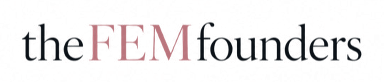 theFEMfounders
